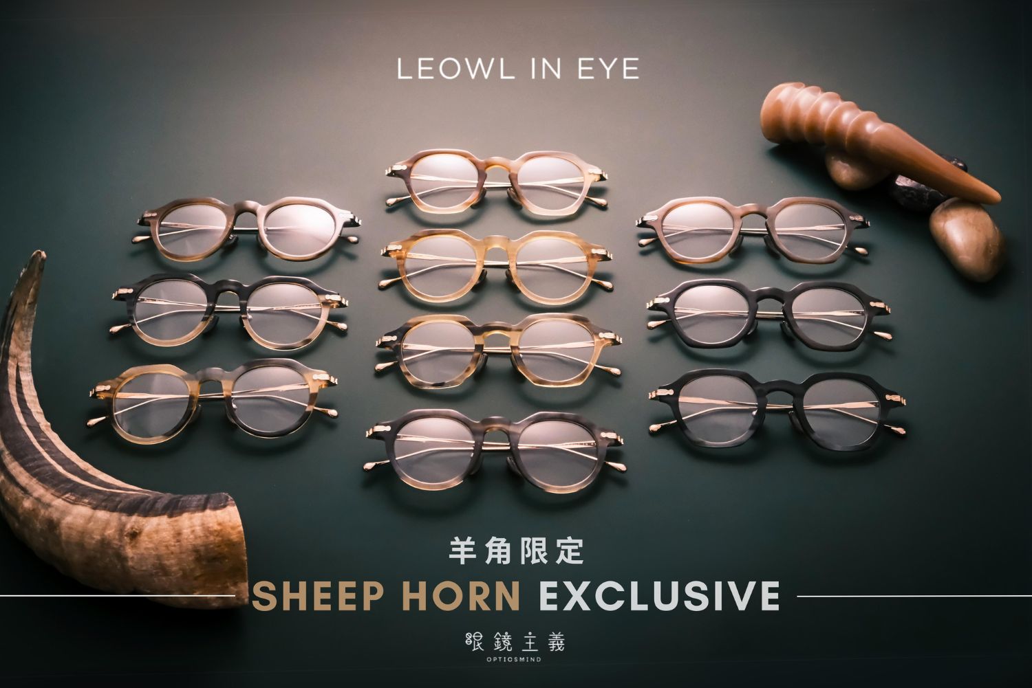 sheep horn sheep horn